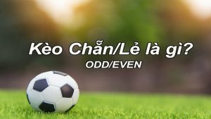Thể Thao - FOR88