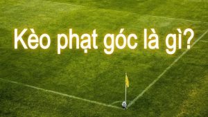 Thể Thao - FOR88